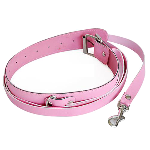 COLLAR Y CORREA COLOR ROSA 6883